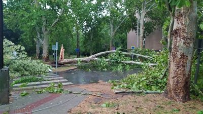 Air and rail traffic disrupted in Hungary as severe storms batter eastern Europe