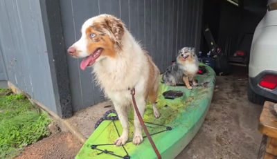 Texas Woman Hopped on a Kayak to Escape Floodwaters With Her Dogs: 'I'm Still in Shock'