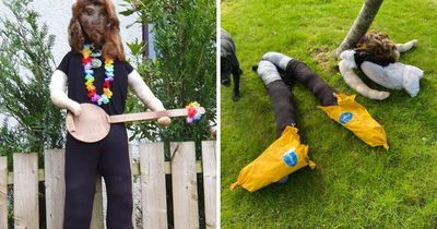 Outrage as Billy Connolly scarecrow stolen and 'dismembered'