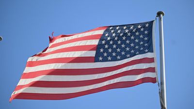 'Not all bad news': the Aussie upside of Trump tariffs