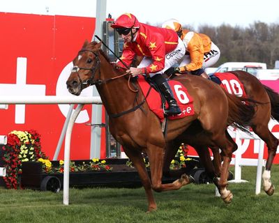 Bumper Royal Ascot payout reopens concerns about Tote betting into own pools