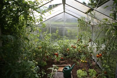 The Growing Debate Over “Right to Garden” Laws in Urban Areas
