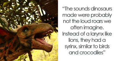 “Dinosaurs Didn’t Roar”: 35 Dinosaur Facts You Probably Never Heard Before