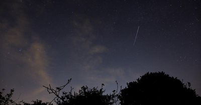 How best to view the Delta Aquariid meteor shower as spectacle hits UK this week