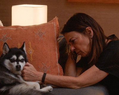 TV tonight: hit show Couples Therapy just keeps getting better