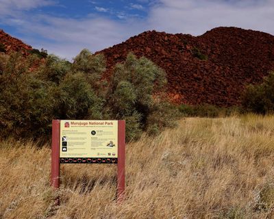 Murray Watt ramps up lobbying efforts in last-minute push to get Murujuga rock art on world heritage list