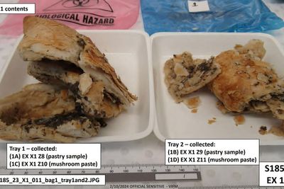 First photos of deadly beef wellington meal cooked by Erin Patterson released