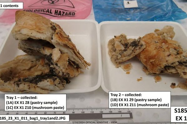 First photos of deadly beef wellington meal cooked by Erin Patterson released