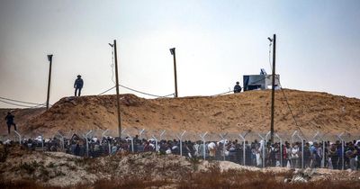 Israeli plan to force Palestinians into camps 'blueprint for crimes against humanity'