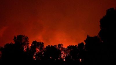 Spain heatwave fuels raging wildfire in Catalan national park