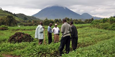 Food trade regimes harm people and the planet: how the G20 can drive improvements