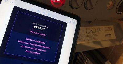 Octopus Energy to pay £1.5 million for prepayment meter billing errors