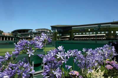 Wimbledon 2025 quarter-finals: Alcaraz blows away Norrie, Sabalenka battles past Siegemund – as it happened
