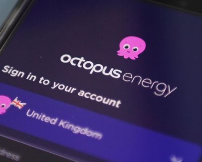 Octopus Energy to pay out £1.5m over thousands of bill errors