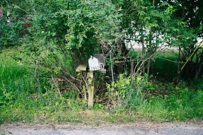 6 Outdoor Mistakes That Could Trigger a Property Fine