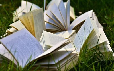 I’ve read 24 books this year, and these are the ones to buy for Prime Day 2025