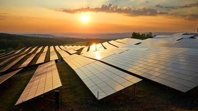 Solar Stocks Dive After Trump Orders End To Green Energy Subsidies