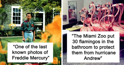 38 Important, Interesting And Random Events That Happened 30 Years Ago, As Shared On This Nostalgic Online Group