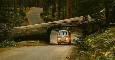 100 Pics From ‘Project Van Life’ Instagram That Will Make You Wanna Quit Your Job And Travel The World