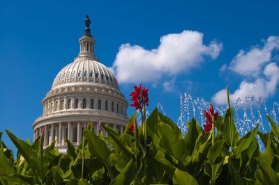 7 Inheritance Clauses That Now Trigger Federal Review