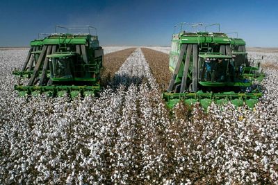Cotton Losses Extending on Tuesday