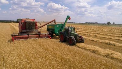 Wheat Continuing Lower on Tuesday
