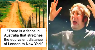 38 ‘Weird Facts’ About The World That Might Give You A Fresh Perspective