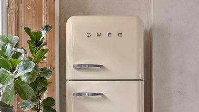 All I want for Prime Day is this Big, Beautiful Fridge