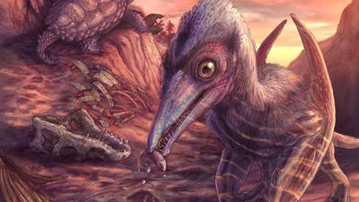 'Ash-winged dawn goddess' is oldest pterosaur ever discovered in North America — and it was small enough to sit 'on your shoulder'
