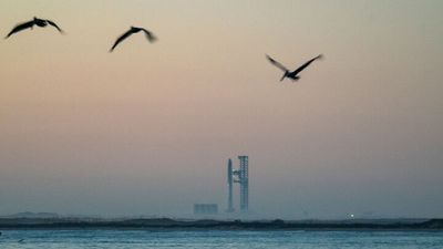 US Air Force cancels plans to build Starship landing pads on island bird sanctuary