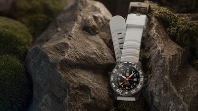 Luminox’s military-grade watch gets upgraded colour to help you see in the dark