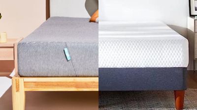 Siena vs Layla: Which cheap memory foam mattress should you buy this Prime Day?