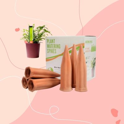 These terracotta watering spikes keep my thirsty plants watered during scorching weather, even when I'm not at home