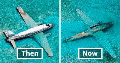 People Are Sharing ‘Then And Now’ Pics On This Page To Show How Time Changes Things (40 New Pics)