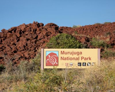 What Australia must do to overturn objections for WA rock art to attain UN heritage status