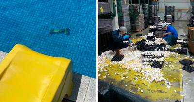 60 Epic Work Fails That Might Make You Glad It Didn’t Happen To You (New Pics)