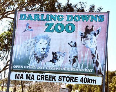 NSW woman on emotional ‘rollercoaster’ after losing arm in zoo lion attack, family says