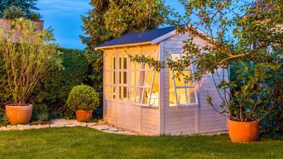 How to stop your shed smelling musty – 9 expert-approved methods to banish bad odors