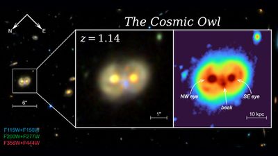 Whooo's there? James Webb telescope spots 'Cosmic Owl,' super-rare structure formed from colliding ring galaxies