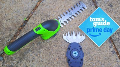 I'm too lazy to trim the hedges so I tried this $29 garden tool instead — here's what happened