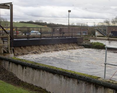 Environment Agency insider alleges ‘cover-up’ over sewage sludge on farmland