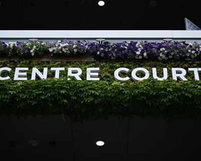 Wimbledon 2025 quarter-finals: Djokovic defeats Cobolli to set up Sinner clash – as it happened