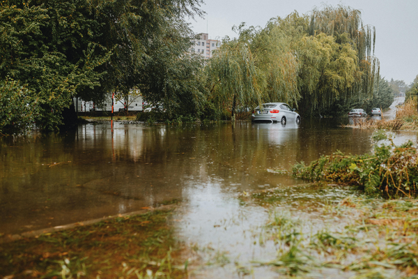 Outrage as Ex-Houston Official Claims 'No One Would Care' If Camp Mystic Victims Were Hispanic