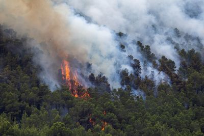 Europe wildfires map: Where summer fires have struck from France and Spain to Greece