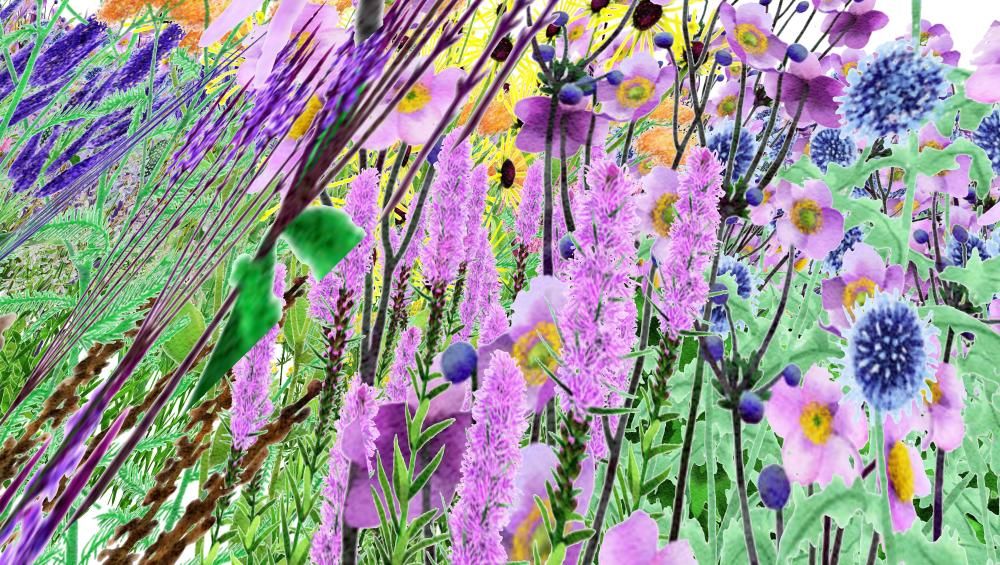 Very beautiful college girl sex her touch and her feminine