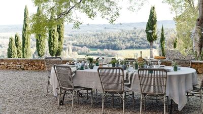 This is the quirkiest fly-repelling patio trick I've ever seen – pest pros say it'll help you enjoy fly-free al fresco dining this summer