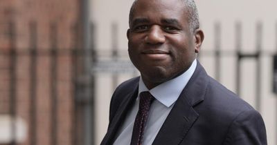 David Lammy hands taxpayer-funded Foreign Office job to Labour donor