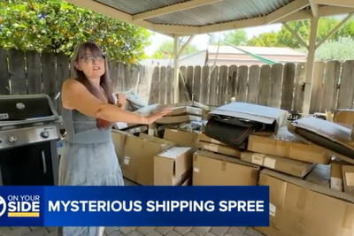 Prime mistake! Woman sent hundreds of returned Amazon packages after Chinese company used her address on labels