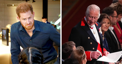Prince Harry Snubbed By King Charles As He Praised William During Windsor Castle Speech