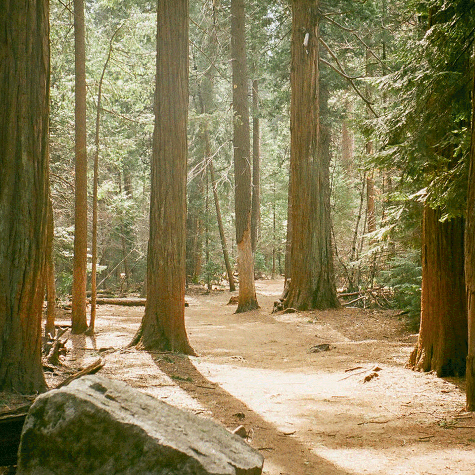 The Hiking Club Encouraging Women of Color to Take Up More Space in the Outdoors